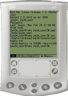 Palm conected to a linux box